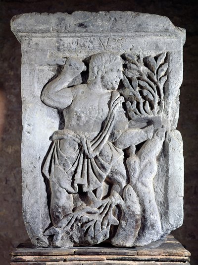 Capital of the Nautes Pillar depicting Esus cutting mistletoe, 14-37 AD by Gallo Roman